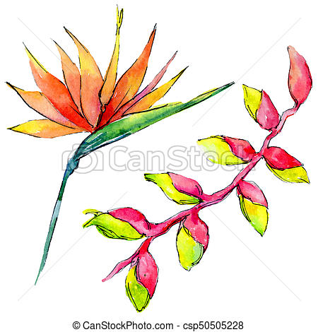 450x470 Tropical Hawaii Leaves In A Watercolor Style Isolated.... Clip Art - Watercolor Hawaii