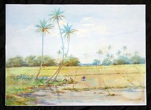 300x218 Early Hawaii Watercolor Painting Rice Planting Under Palms - Watercolor Hawaii