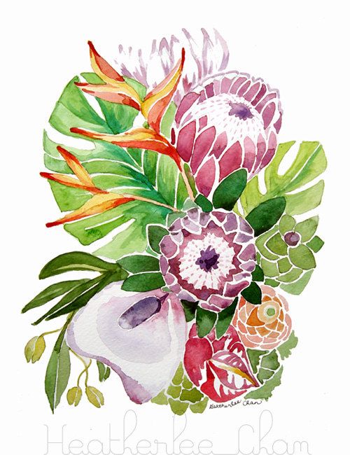 500x650 Hawaiian Flower Watercolor - Watercolor Hawaiian Flowers