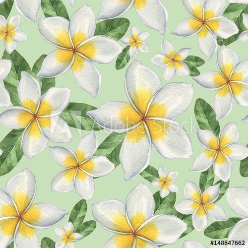 500x500 Hawaiian Flowers. Seamless Floral Pattern. Watercolor Illustration - Watercolor Hawaiian Flowers