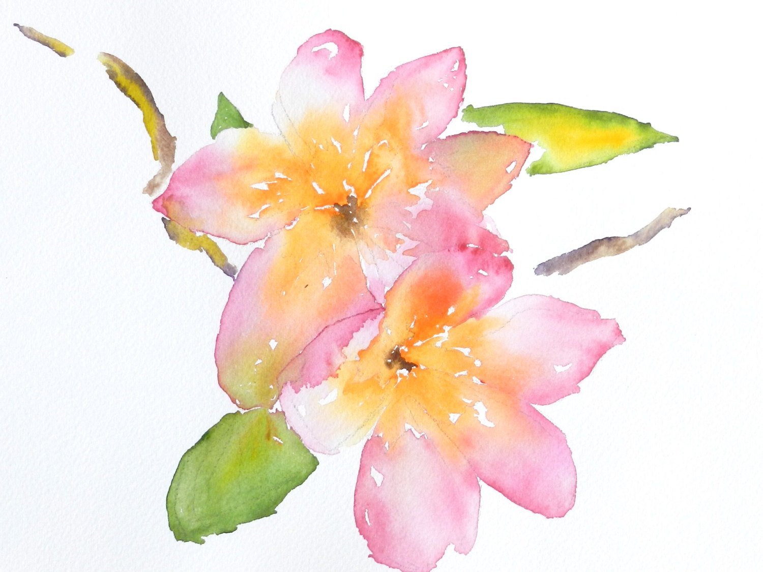 1500x1125 Original Watercolor Print Plumerias Hawaiian Flowers Etsy - Watercolor Hawaiian Flowers
