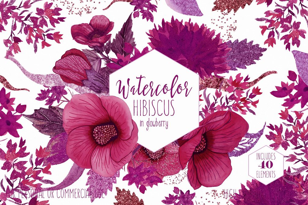 1006x671 Tropical Floral Clipart Commercial Use Watercolor Hibiscus - Watercolor Hawaiian Flowers