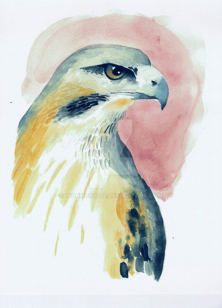 760x1052 Red Tailed Hawk Watercolor By Wormboy212 - Watercolor Hawk