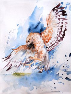 236x310 Resultado De Imagem Para Watercolor Eagle Tattoo Ivka Tattoo - Watercolor Hawk
