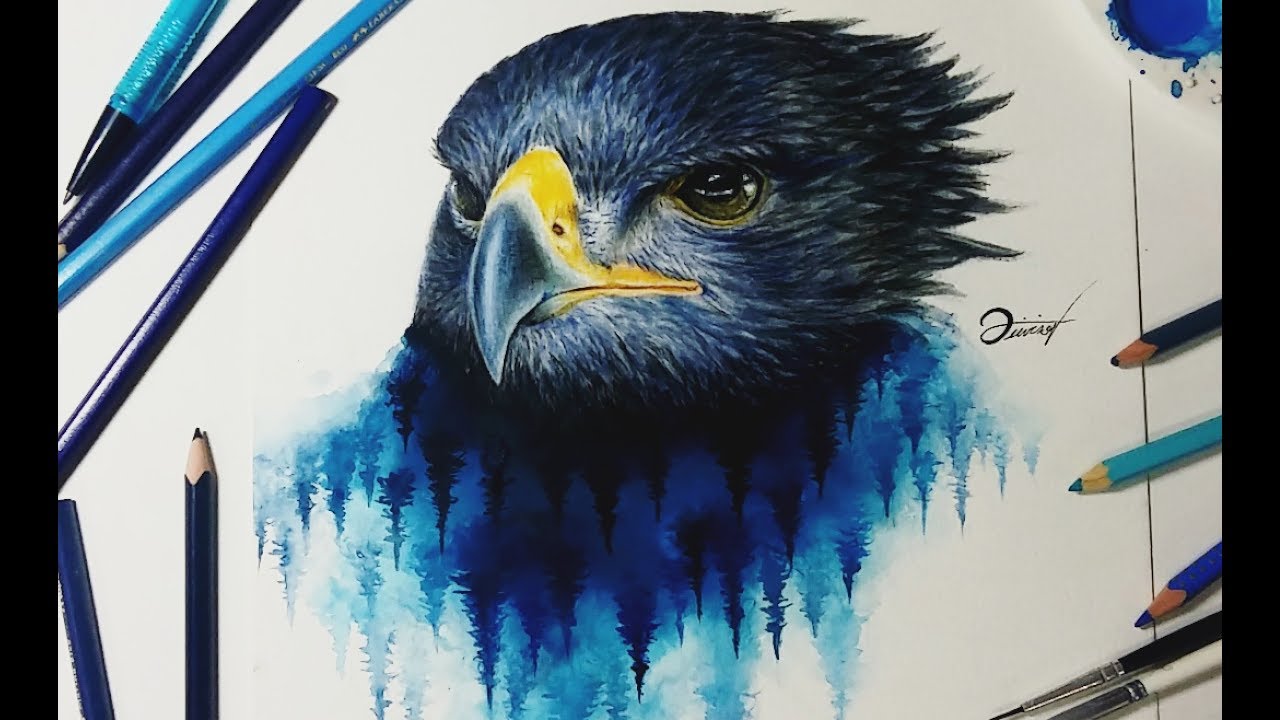 1280x720 Speed Drawing - Watercolor Hawk