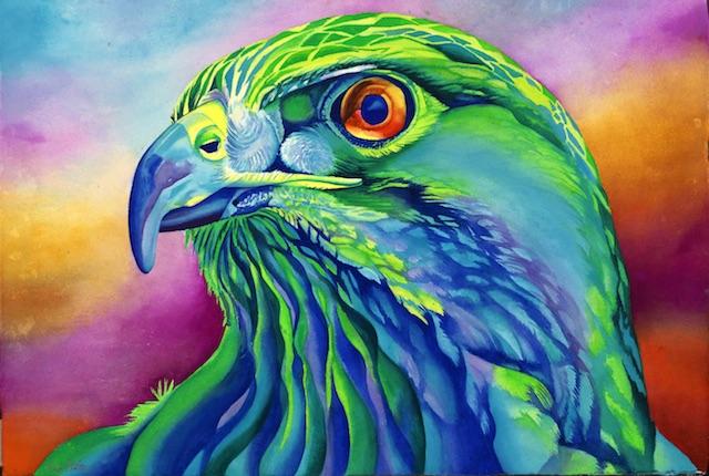 640x430 Tony The Hawk Signed Print From Original Watercolor Hawk Painting - Watercolor Hawk