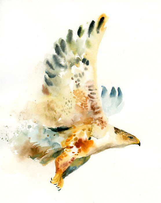 556x698 Watercolor Flying Hawk Tattoo Design - Watercolor Hawk