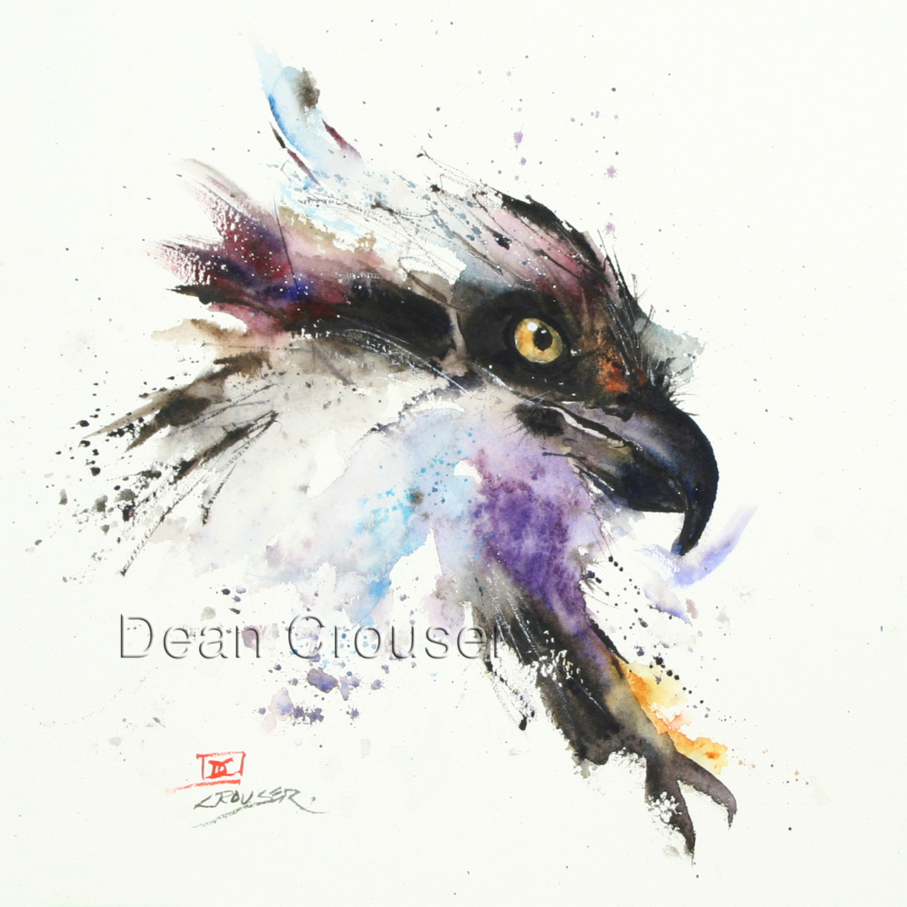 1280x1280 Fish Hawk - Watercolor Hawk