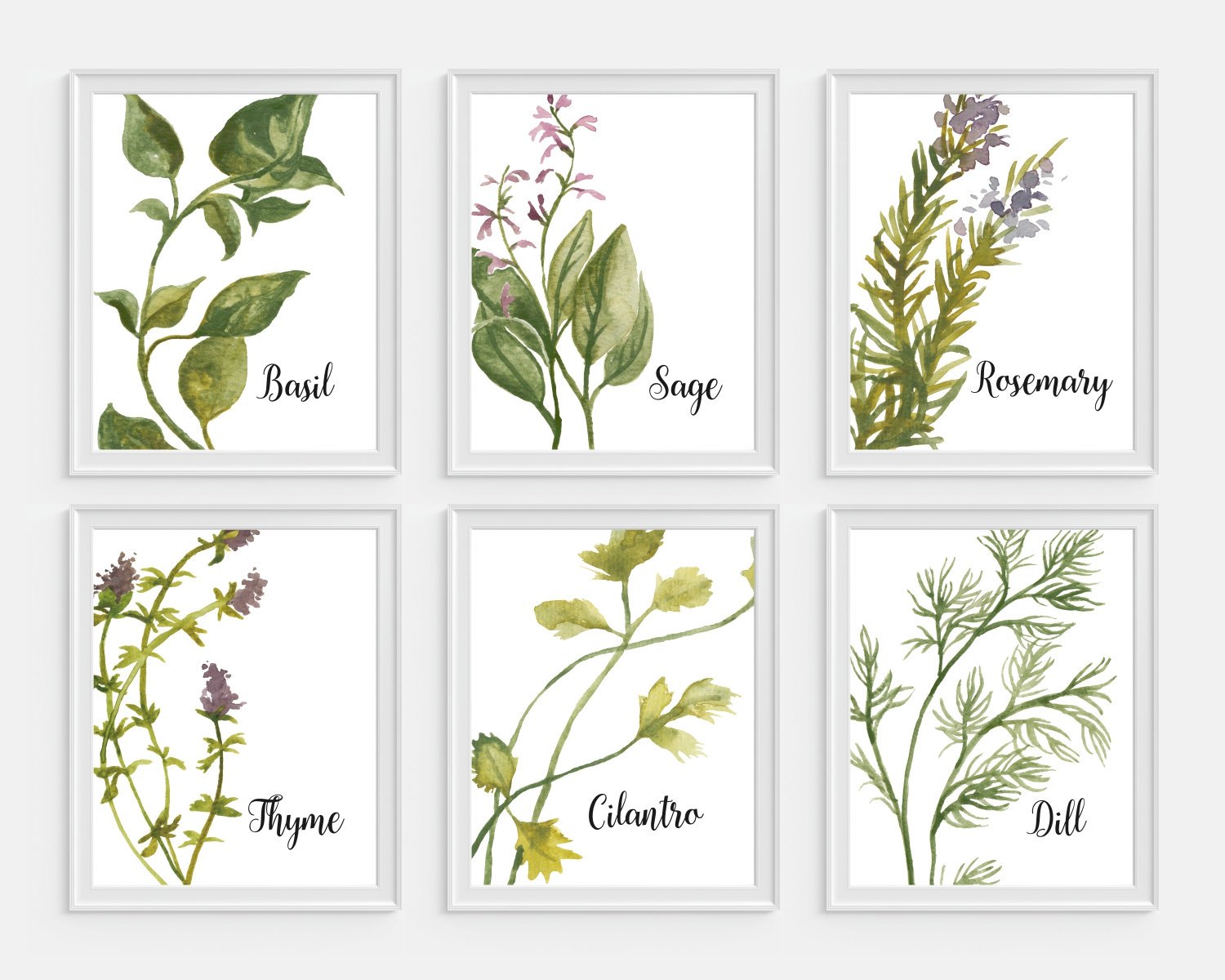 Watercolor Herbs at PaintingValley.com | Explore collection of ...