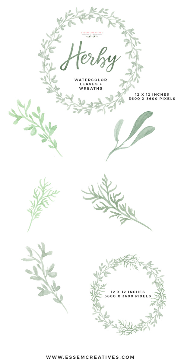 600x1200 Watercolor Herbs Clipart, Watercolor Wreath Clipart, Food - Watercolor Herbs
