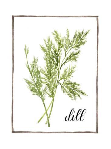 366x488 Watercolor Herbs Iii Print By Grace Popp - Watercolor Herbs