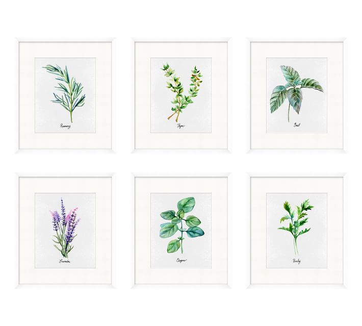 710x639 Watercolor Herbs Paper Print Pottery Barn - Watercolor Herbs