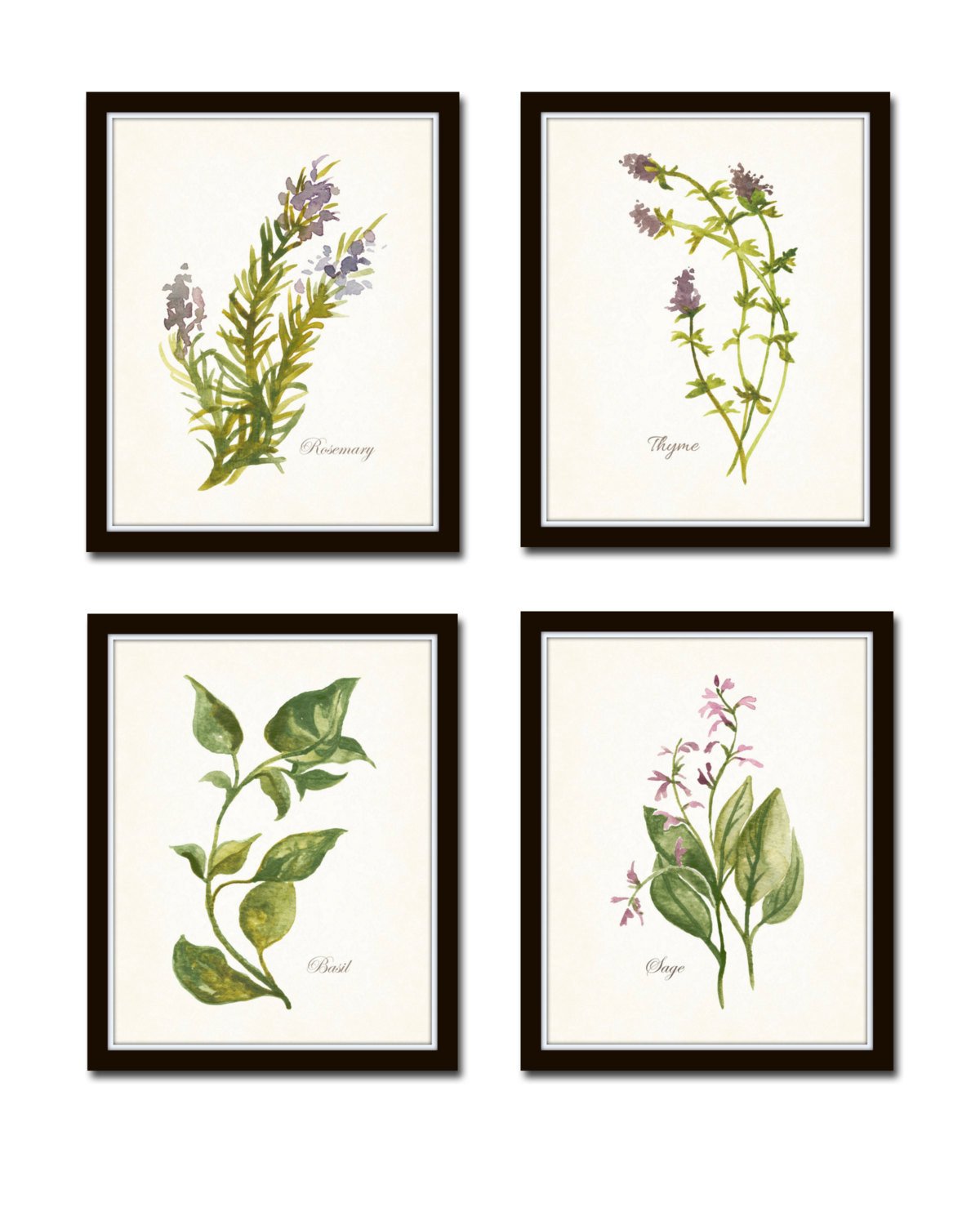 1200x1500 Watercolor Herbs Print Set No. 6 Belle Maison Art - Watercolor Herbs
