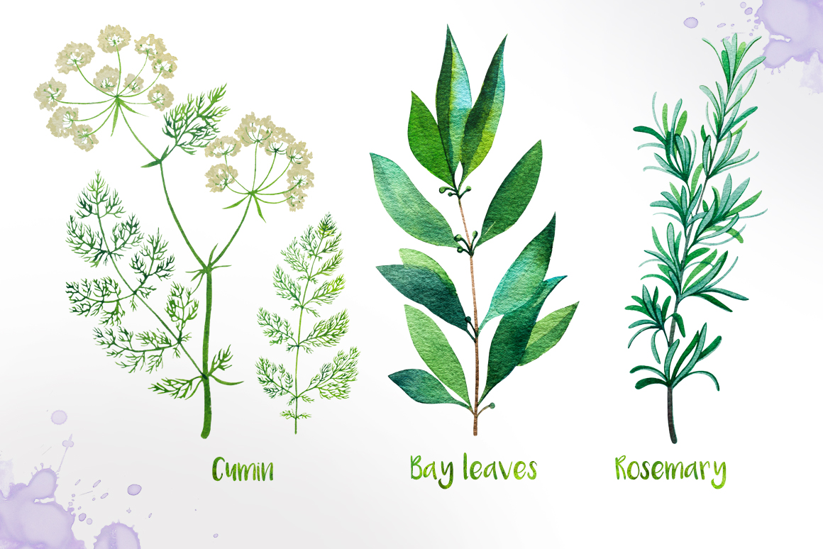 1160x774 Watercolor Herbs - Watercolor Herbs