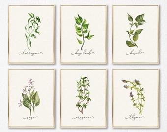 340x270 Watercolor Herbs Etsy - Watercolor Herbs
