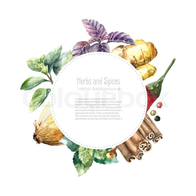 800x800 Watercolor Herbs And Spices Frame. Round Frame With Hand Painted - Watercolor Herbs