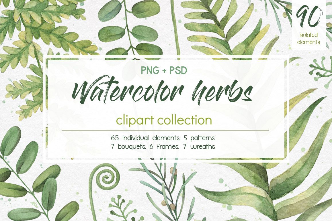 1158x772 Watercolor Herbs. Clipart Collection - Watercolor Herbs