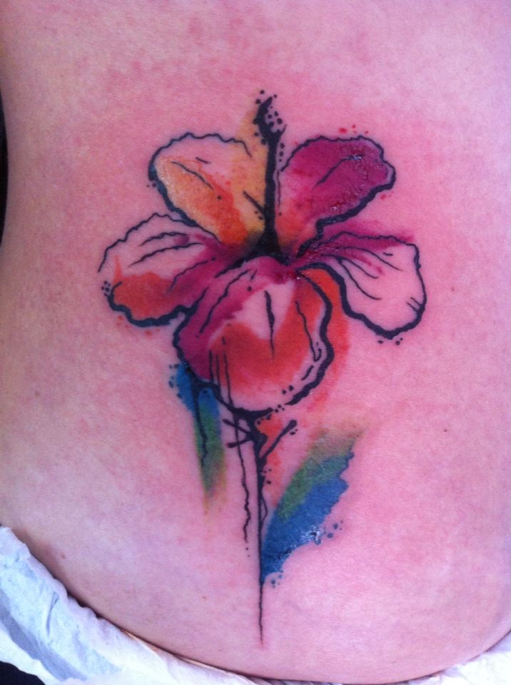 716x960 Hibiscus Water Color In Love - Watercolor Hibiscus Tattoo