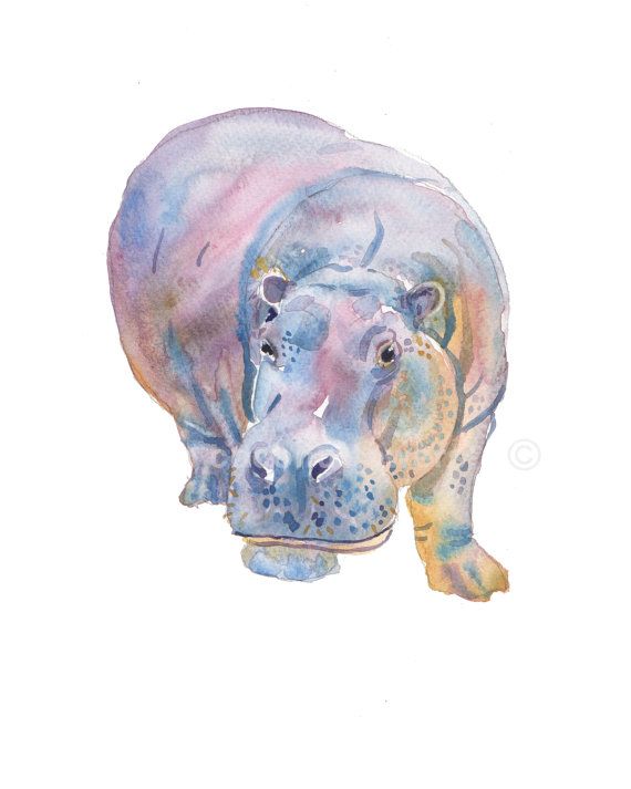570x713 Hippo - Watercolor Hippo