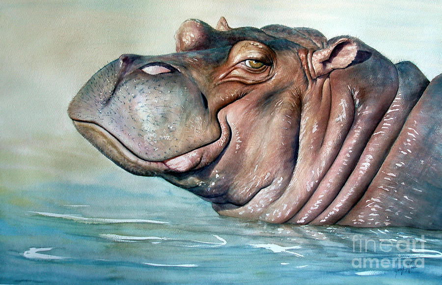 900x580 Hippo Lisa Painting By Joey Nash - Watercolor Hippo
