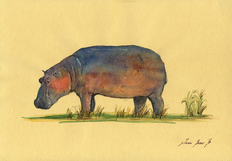 900x627 Hippo Watercolor Painting Painting By Juan Bosco - Watercolor Hippo