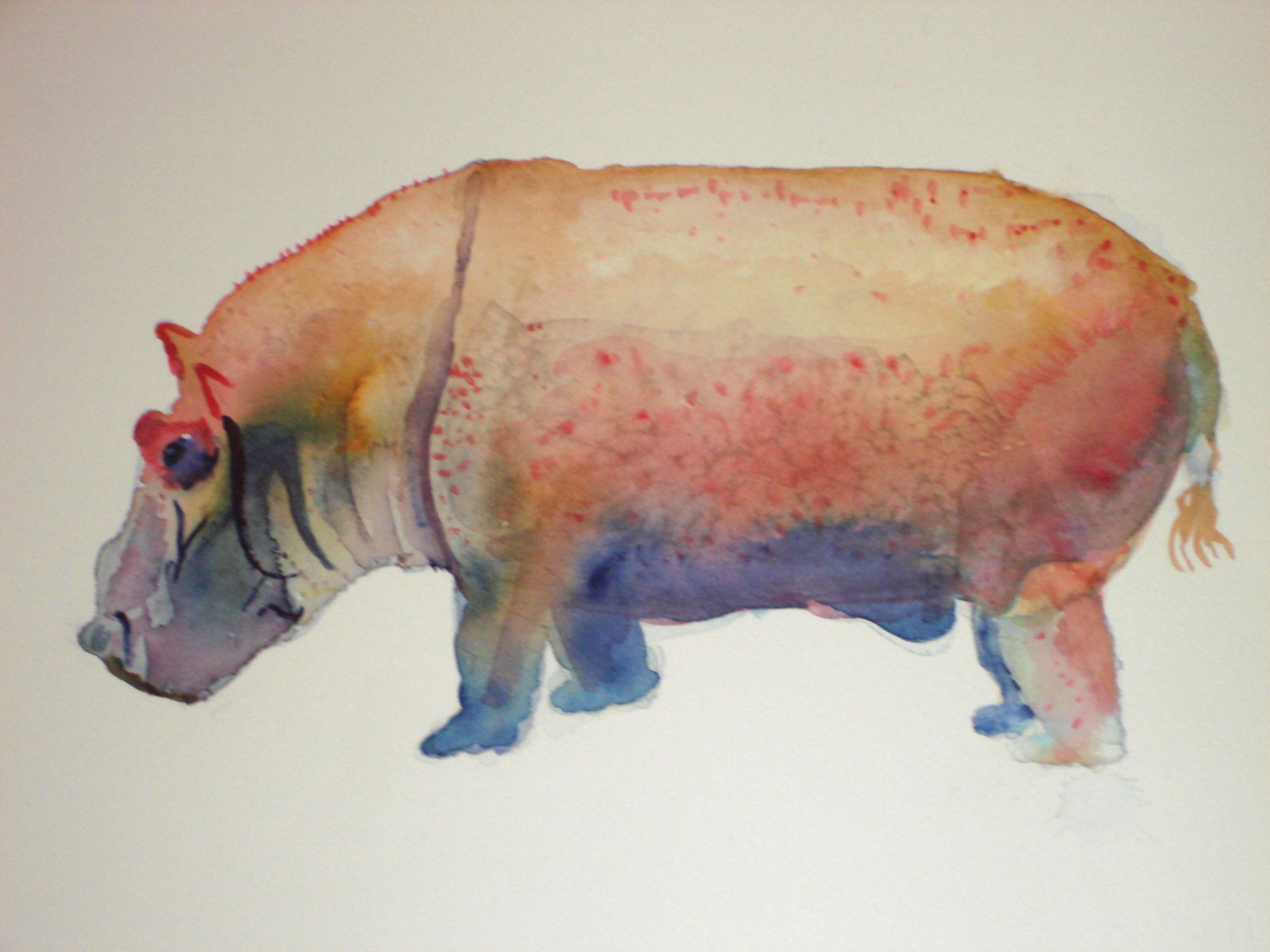 2000x1500 Hippopotamus Laura Massie Art - Watercolor Hippo