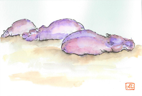 498x337 Wildlife Watercolor Hippo Family - Watercolor Hippo