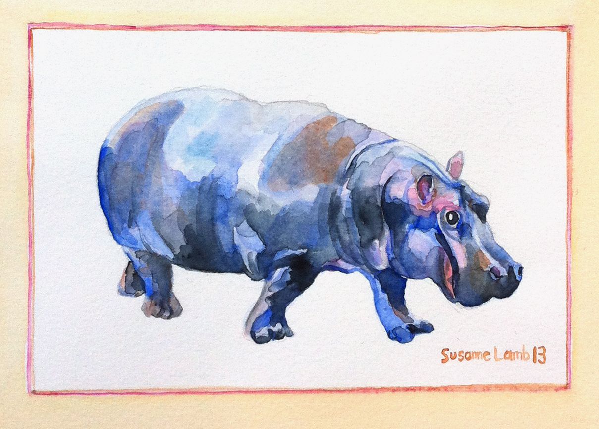1209x865 Watercolor Hippo Susanne Watercolor, Inspiring Art - Watercolor Hippo