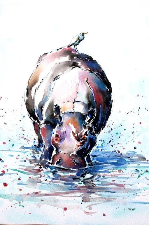 511x768 Watercolor Hippopotamus Animal Photos And Art Images - Watercolor Hippo