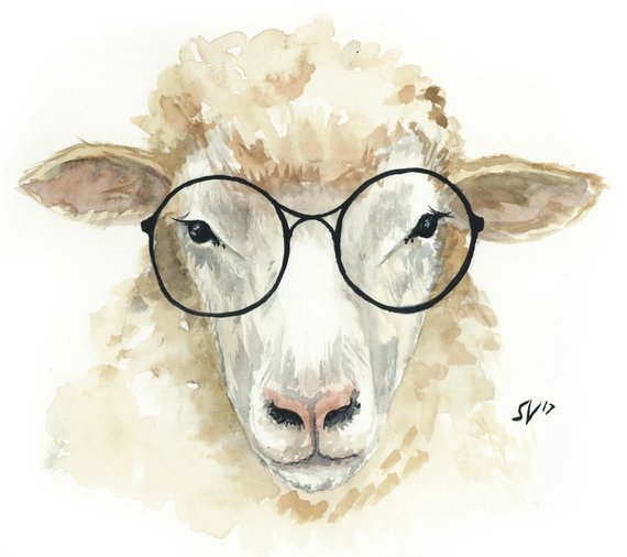 570x506 Watercolor Hipster Sheep Gallery Wrapped Canvas Etsy - Watercolor Hipster