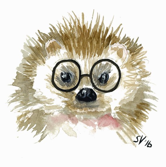 570x575 Watercolor Hipster Hedgehog Gallery Wrapped Canvas - Watercolor Hipster
