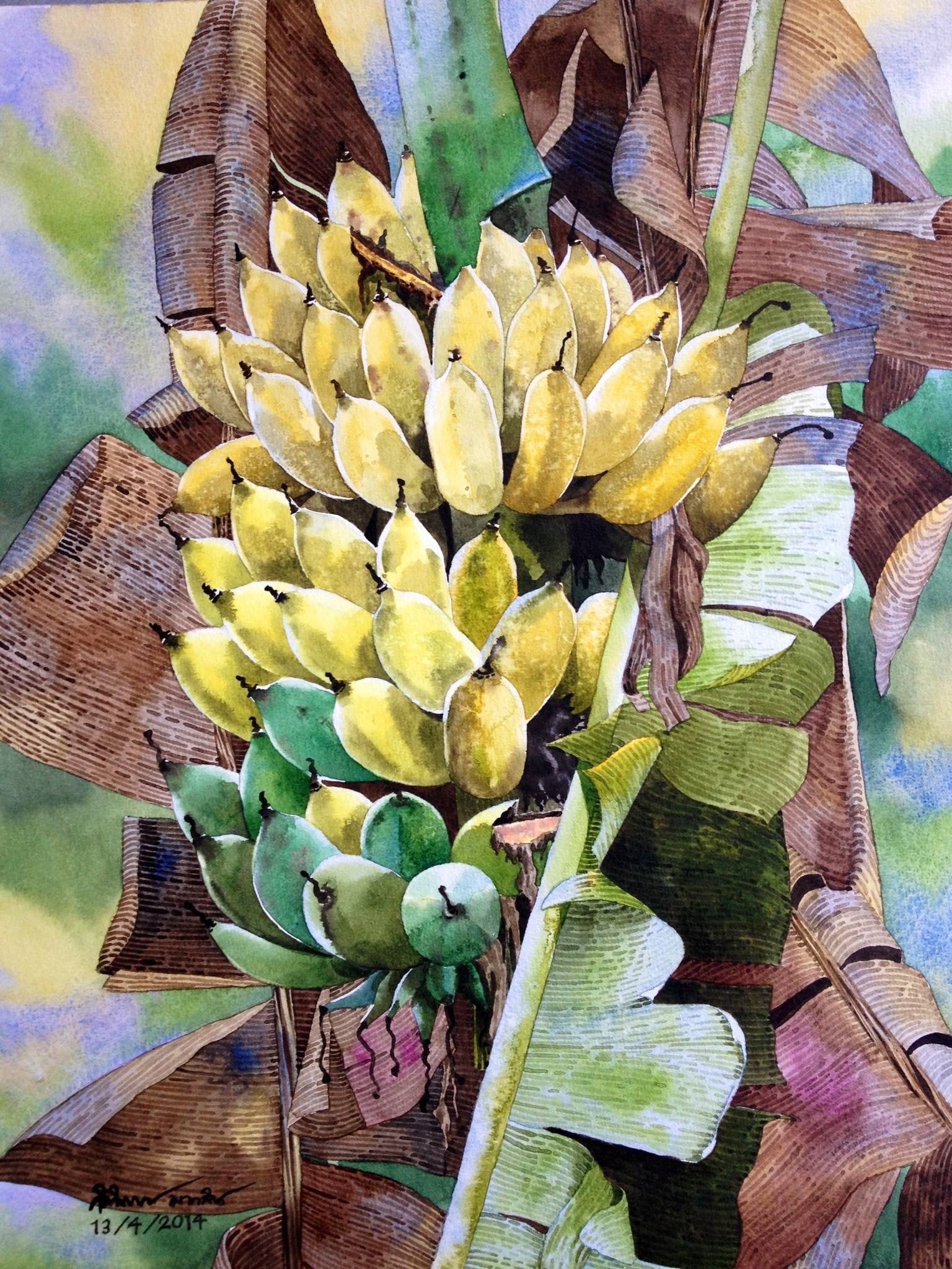 1536x2048 Pin By Chau Pham On Hoa Bananas, Watercolor And - Watercolor Hoa