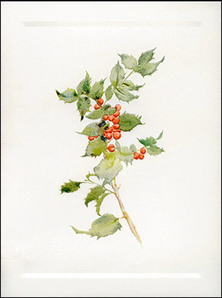 313x420 Watercolor Holly - Watercolor Holly