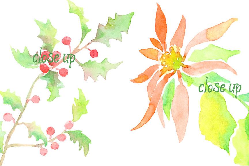 864x576 Watercolor Christmas Holly, Poinsettia And Mistletoe Instant - Watercolor Holly