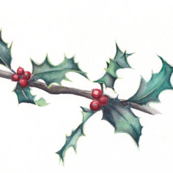 350x350 Holiday Archives Esther Beler Wodrich - Watercolor Holly Leaves