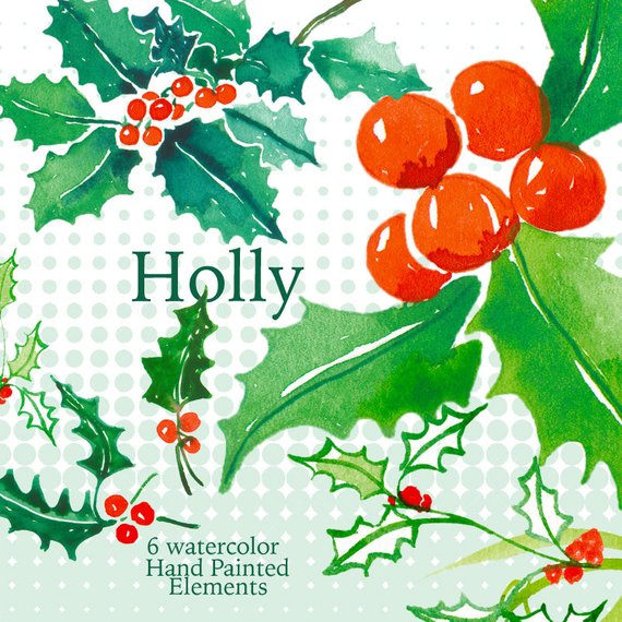 570x570 Holly Clip Art Holly Leaves Watercolor Hand Painted Clipart Etsy - Watercolor Holly Leaves