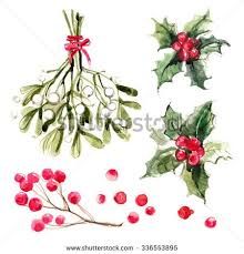 220x229 Afbeeldingsresultaat Voor Watercolor Holly Leaves Kerst - Watercolor Holly Leaves