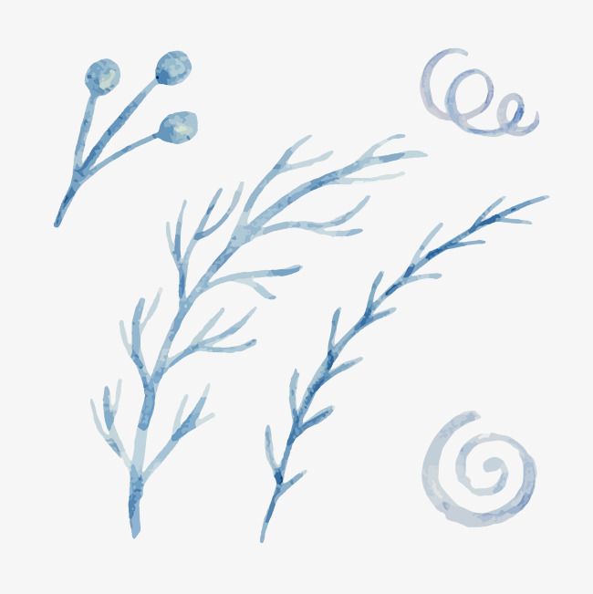 650x651 Watercolor Style Vector Illustration Leaves Haugesund, Watercolor - Watercolor Holly Leaves