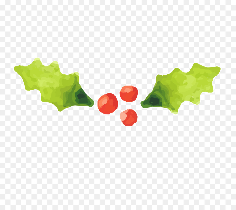 900x800 Watercolor Painting Drawing Plant Christmas - Watercolor Holly Leaves