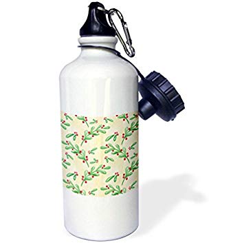 355x353 21oz Sports Water Bottle, Christmas - Watercolor Holly Leaves