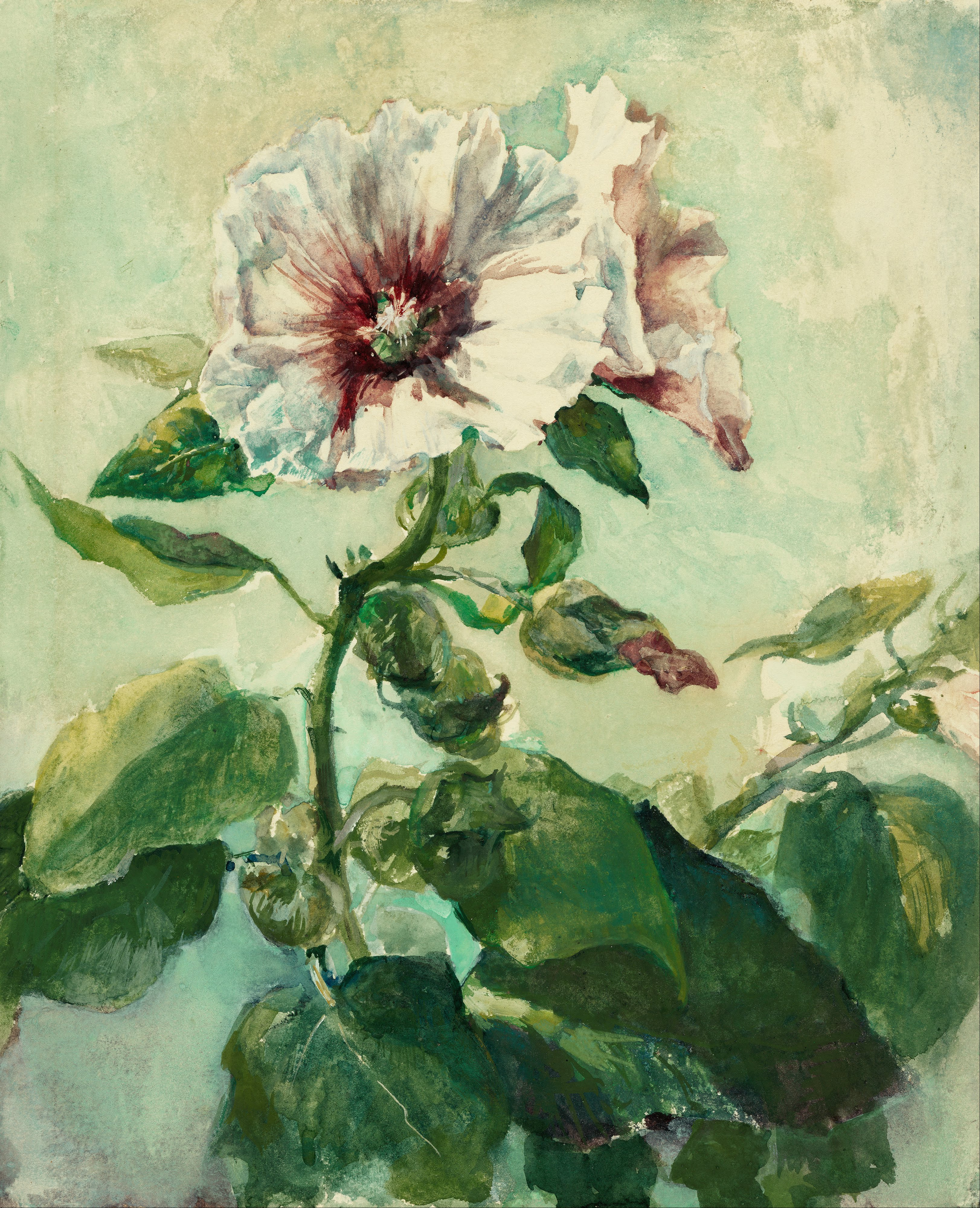 3245x4001 Filejohn La Farge - Watercolor Hollyhocks