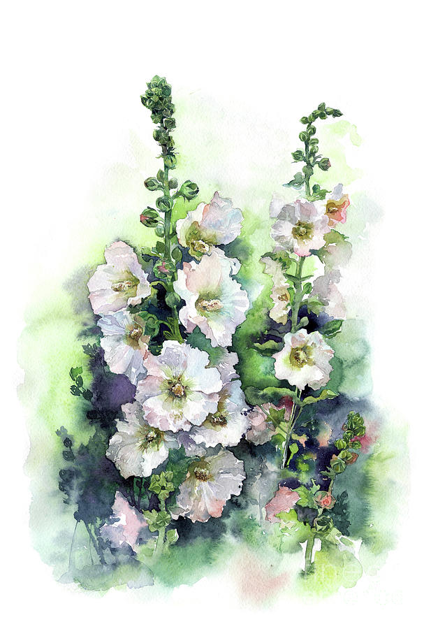 617x900 Watercolor Hollyhocks Pink Flowers Art Hand Draw. Painting By Mary - Watercolor Hollyhocks
