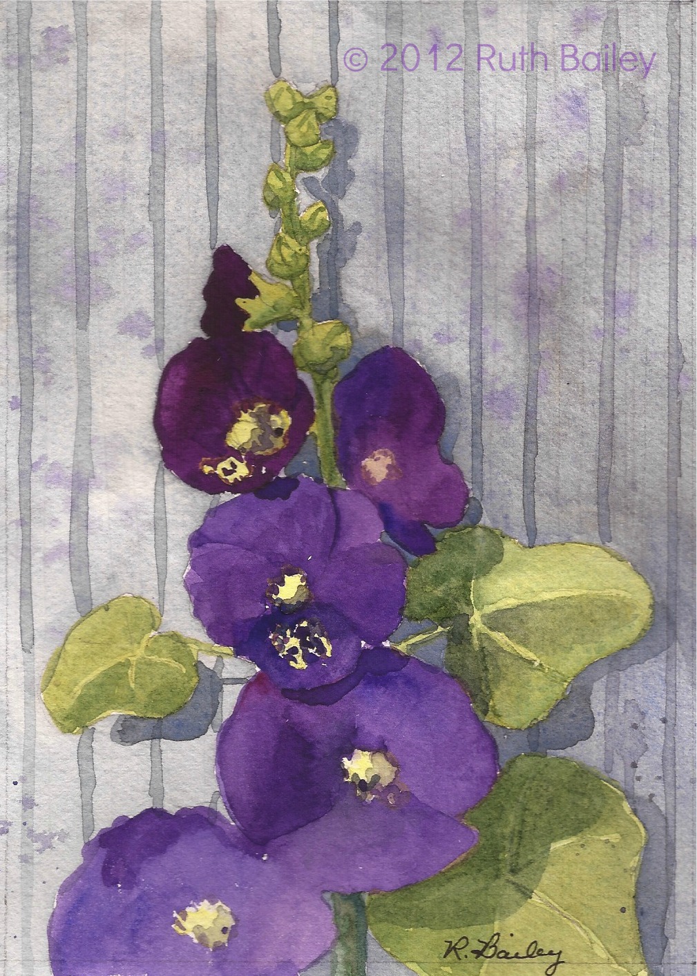 1009x1412 Hollyhocks Ruth Bailey, Artist - Watercolor Hollyhocks