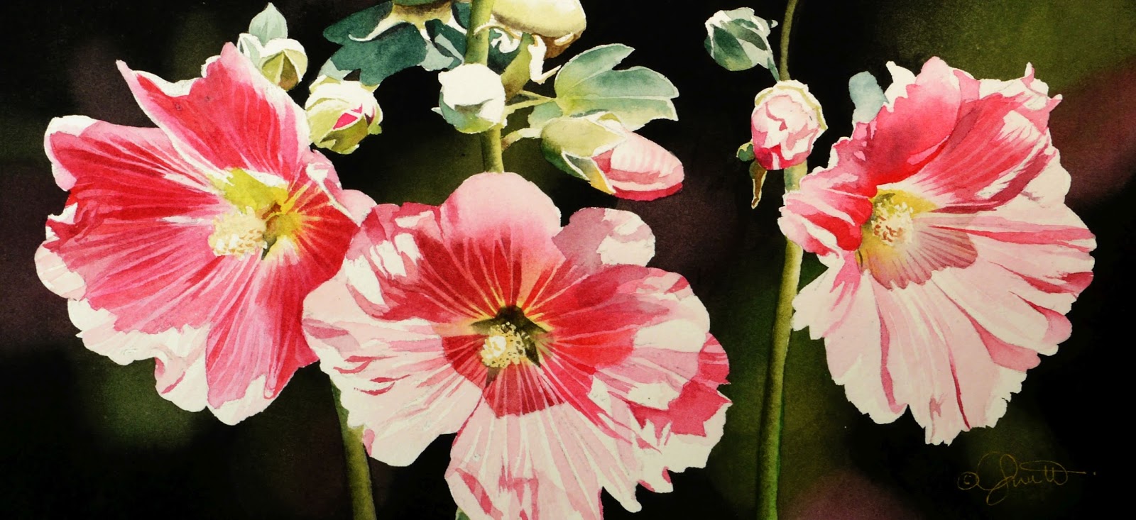 1600x733 Contemporary Realism Hollyhock Garden New Watercolor Amp Video - Watercolor Hollyhocks