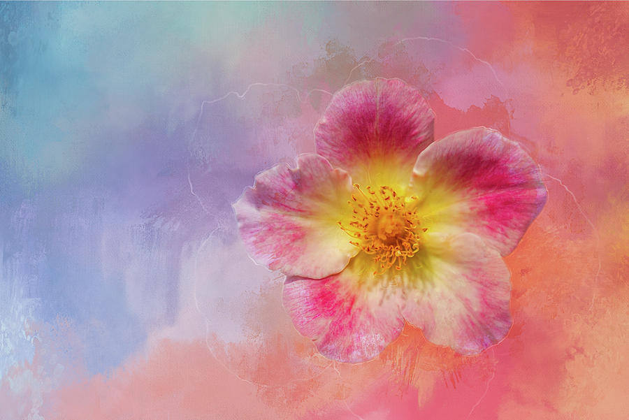 900x601 Watercolors Home Run Digital Art By Terry Davis - Watercolor Home Run Rose