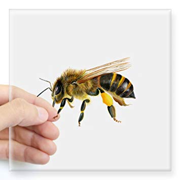 355x355 Cafepress - Watercolor Honey Bee