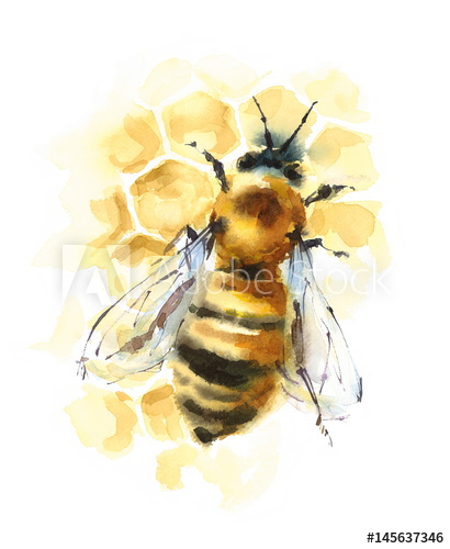 410x500 Watercolor Honey Bee On Honeycomb Hand Painted Illustration - Watercolor Honey Bee