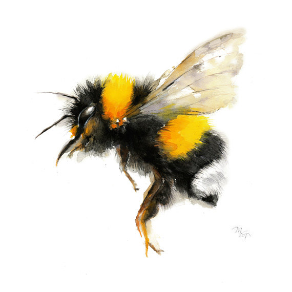 570x570 Bee Watercolor Painting - Watercolor Honey Bee