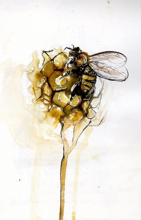 564x875 Small Bee Crawling In Watercolor Honeycomb Ball Tattoo Design - Watercolor Honeycomb