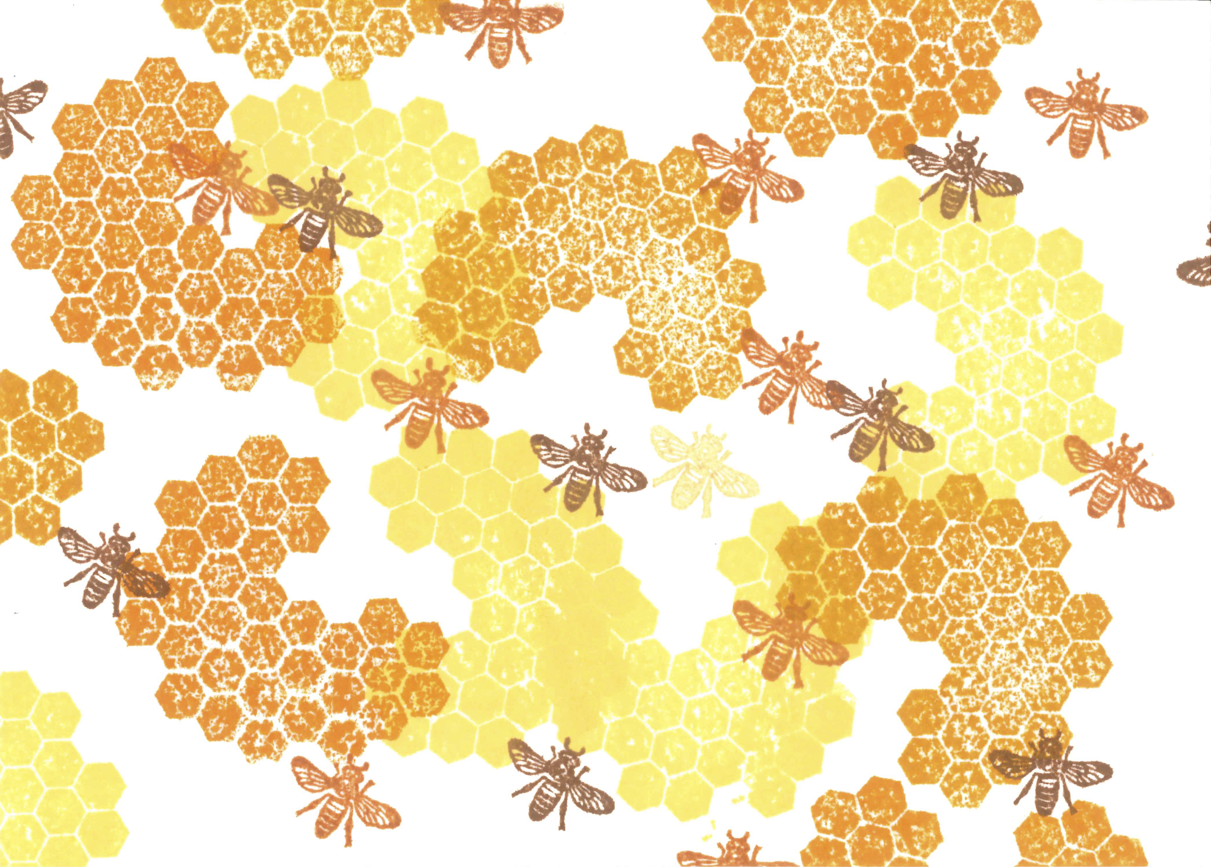 4193x3004 Honeycomb Curation - Watercolor Honeycomb